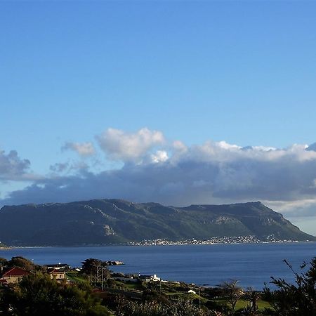 Restio Garden Studio Simon's Town Eksteriør billede