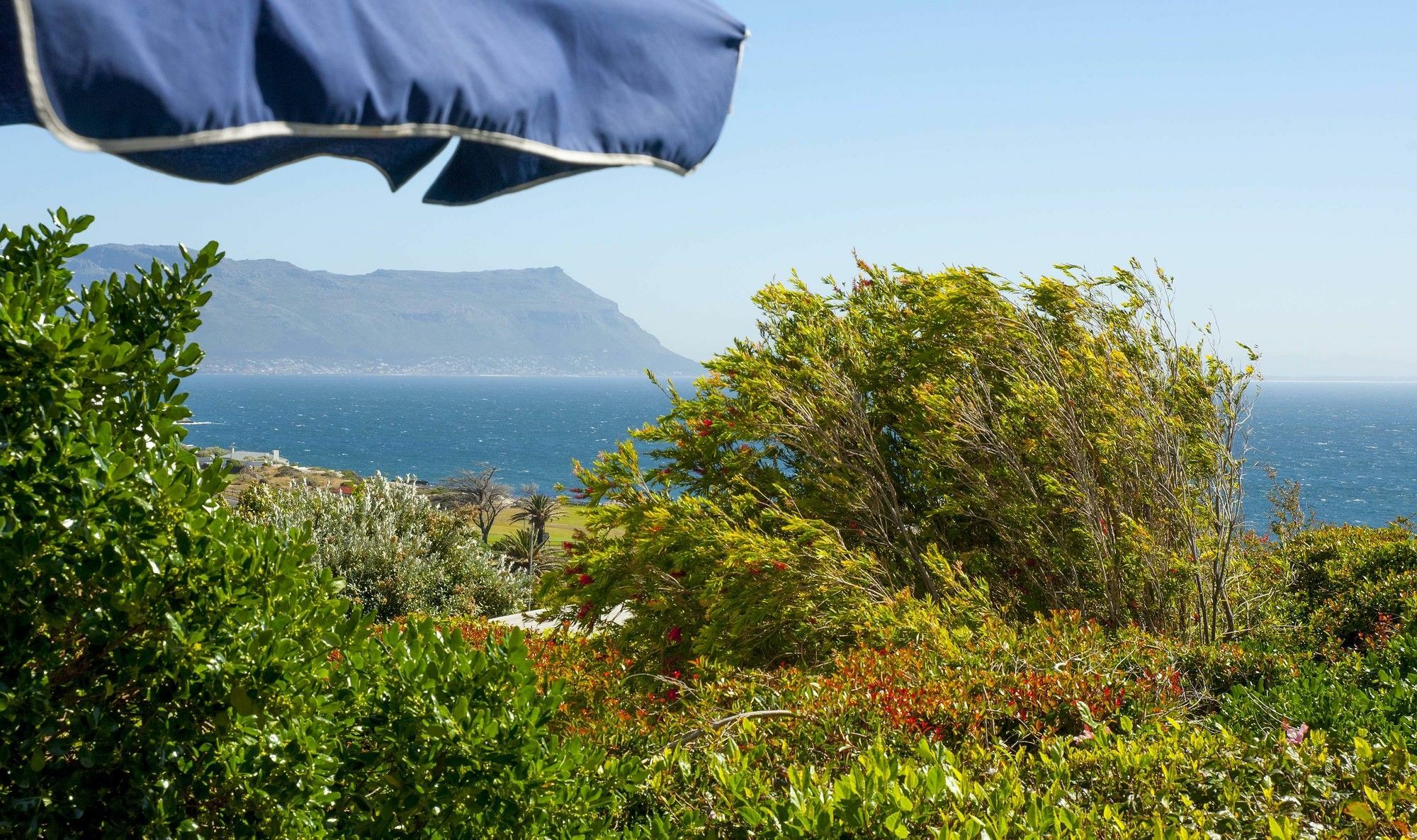 Restio Garden Studio Simon's Town Eksteriør billede